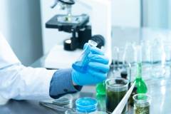 Quality Assurance by Experts